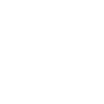 Scaffolding